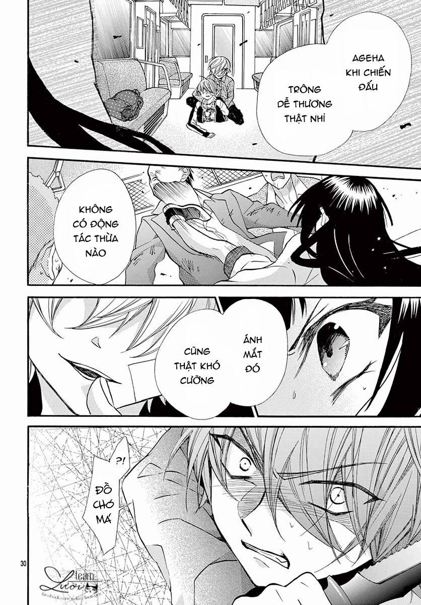 Chàng Rể Giả Nhân Giả Nghĩa 5 trang 31