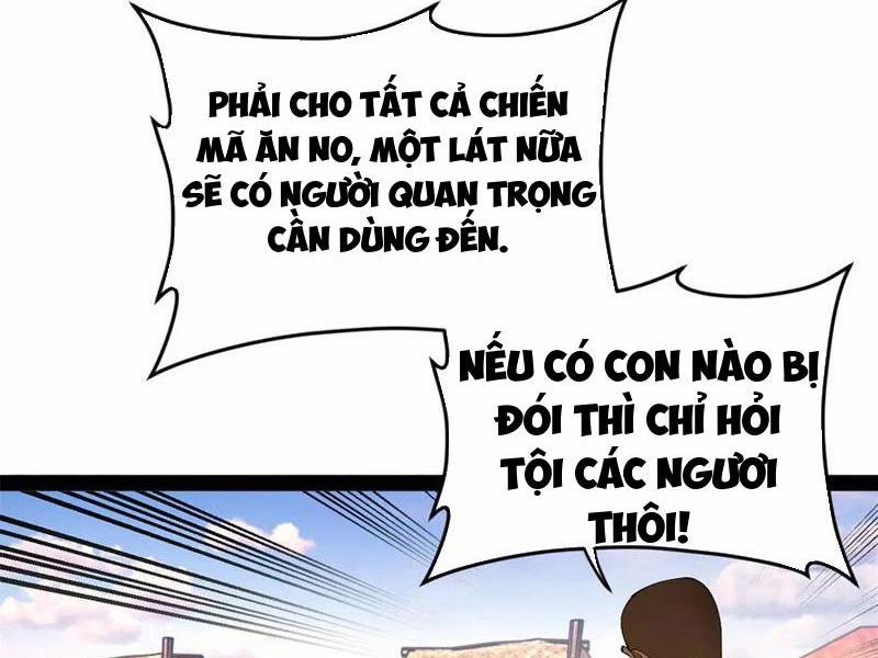 Chàng Rể Mạnh Nhất Lịch Sử 253 trang 2