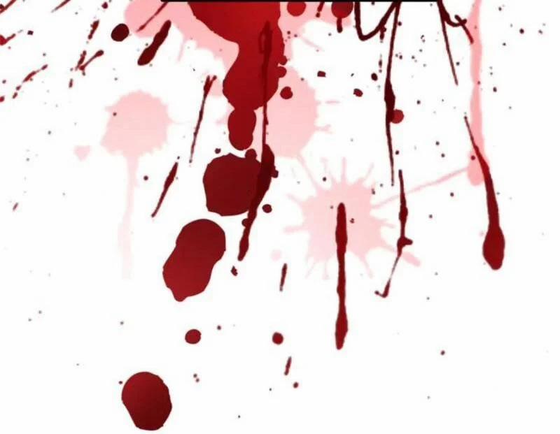 Chàng Rể Mạnh Nhất Lịch Sử 254 trang 22