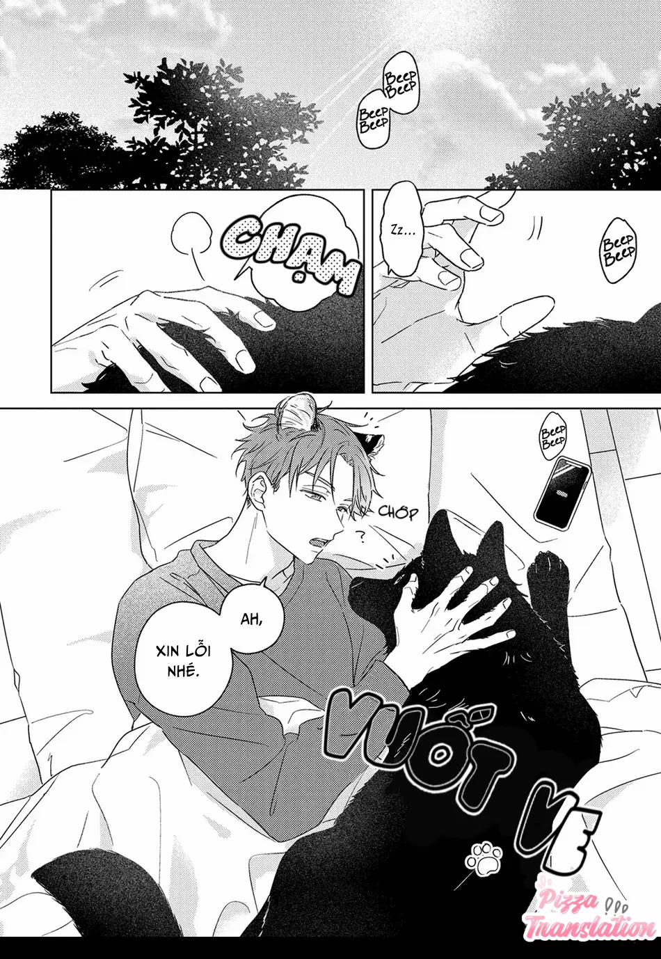 Chàng Sói Không Thể Che Giấu Tình Cảm 1 trang 3