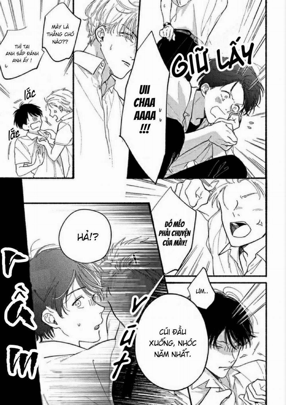 Chàng Sumire Của Tôi 1 trang 11