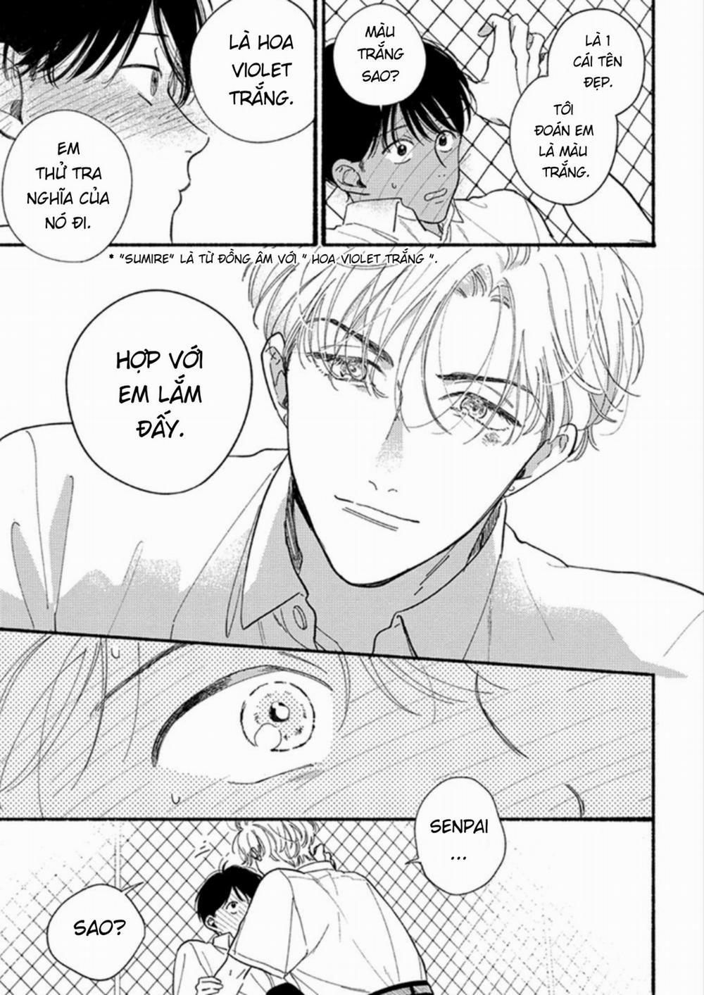 Chàng Sumire Của Tôi 1 trang 40