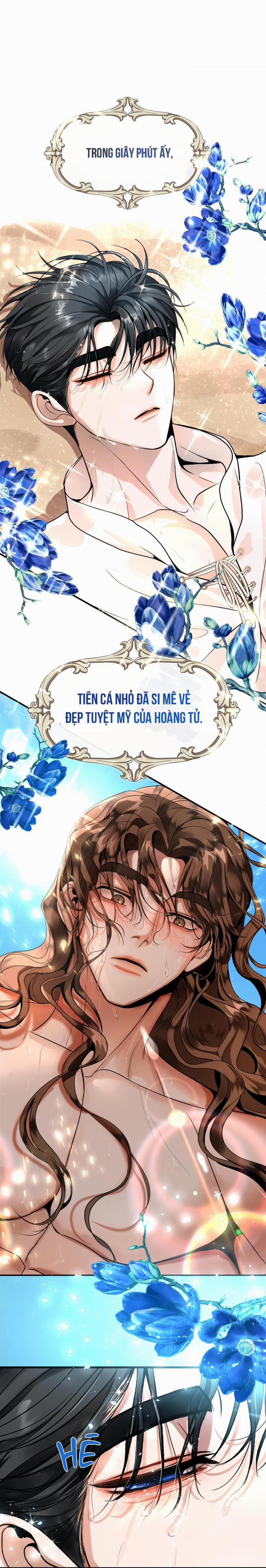 Chàng Tiên Cá Và Hoàng Tử 1 trang 3