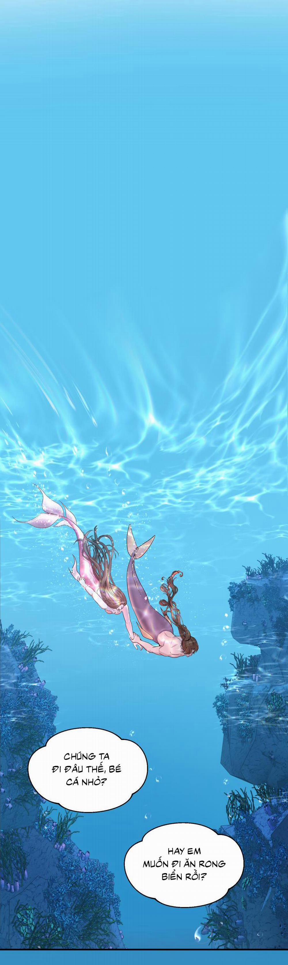 Chàng Tiên Cá Và Hoàng Tử 3 trang 2