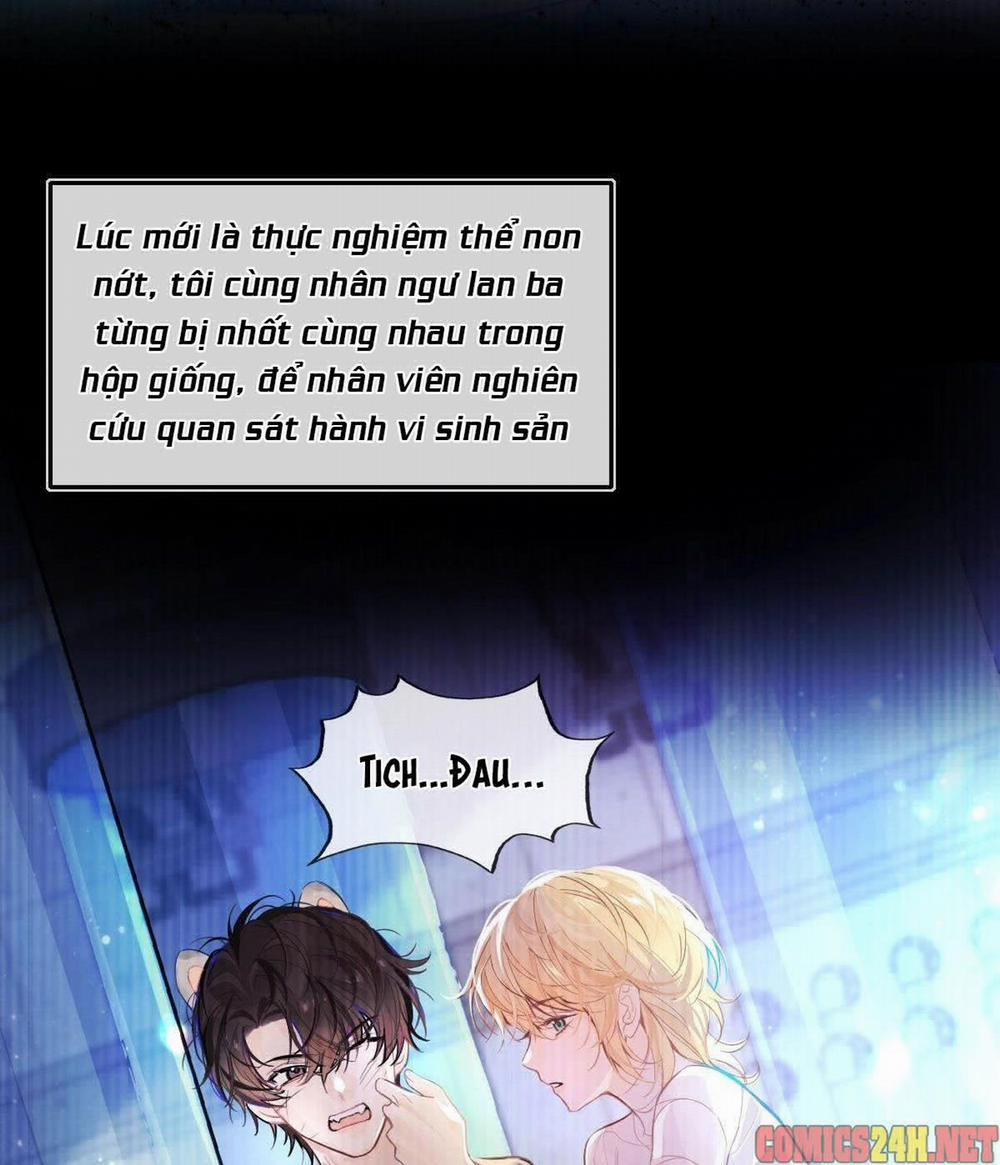 Chàng Tiên Cá 1 trang 17