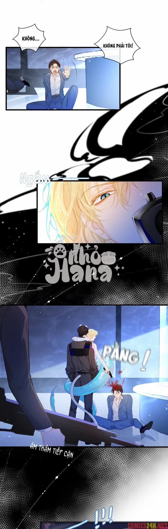 Chàng Tiên Cá 2 trang 5