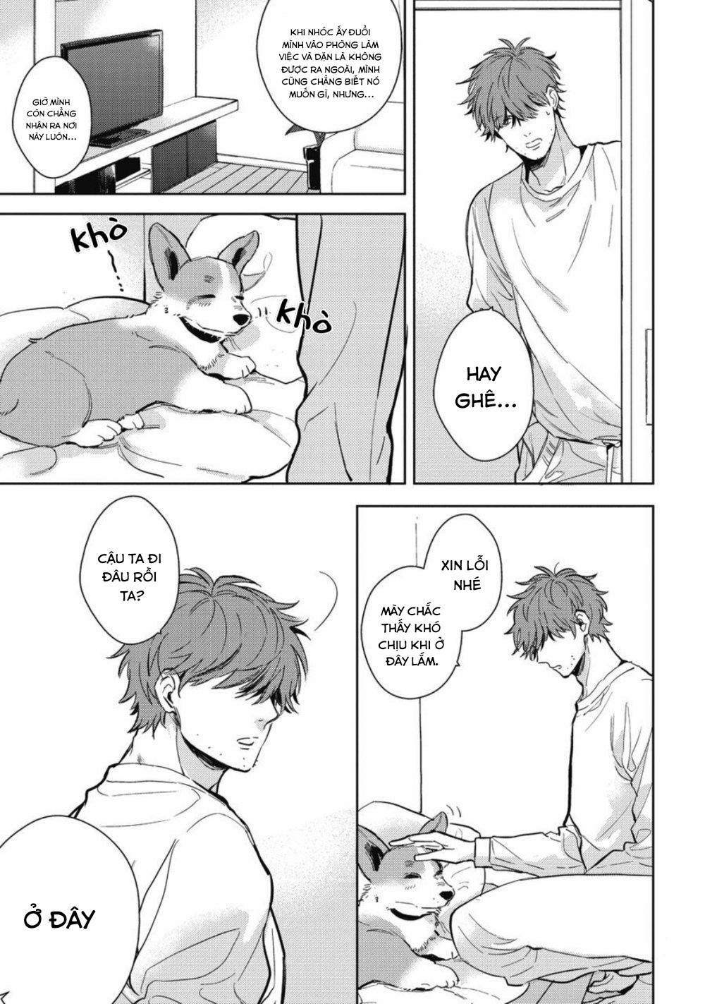 Chàng Trai Mật Ngọt Cạnh Nhà 1 trang 10