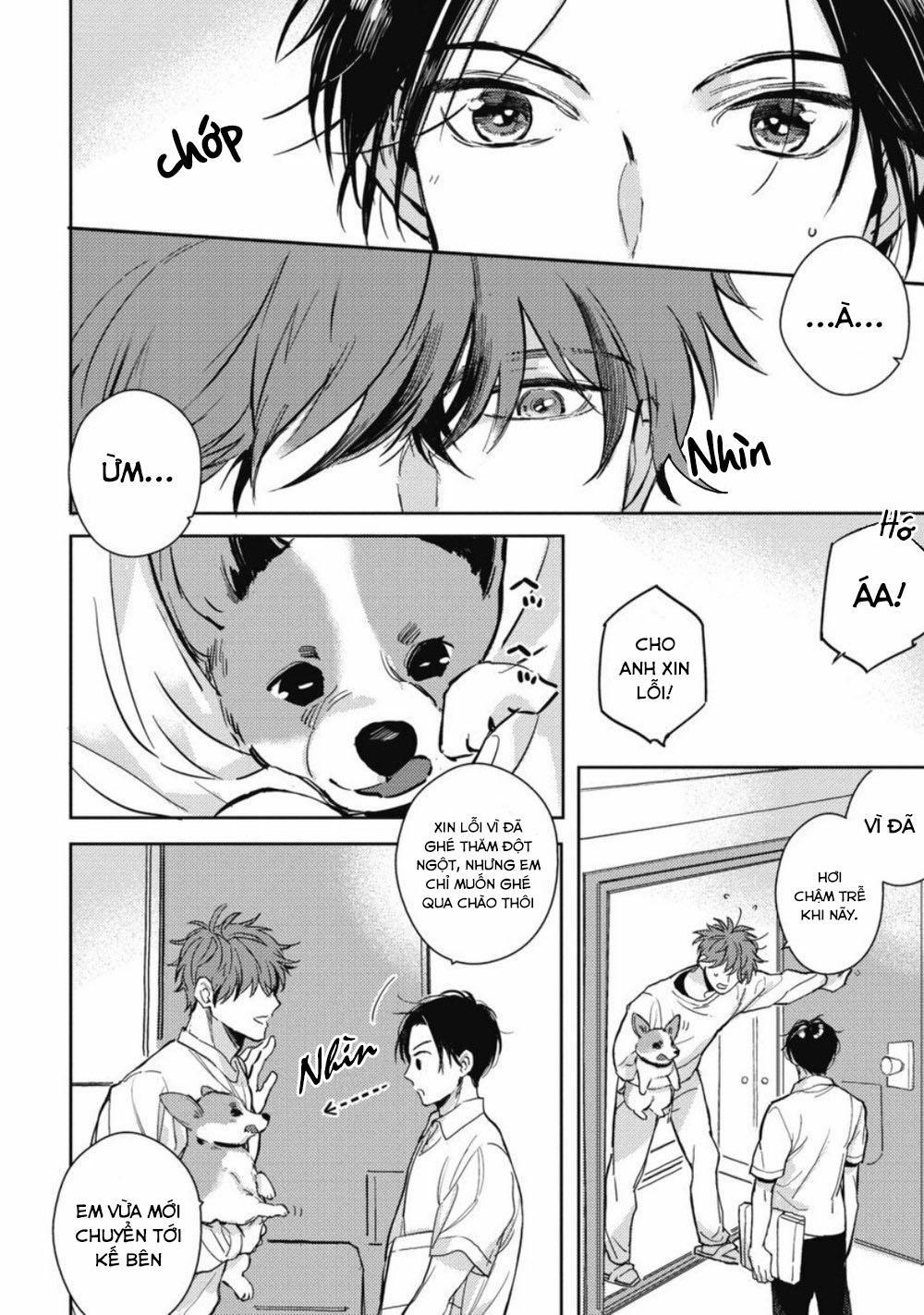 Chàng Trai Mật Ngọt Cạnh Nhà 1 trang 5