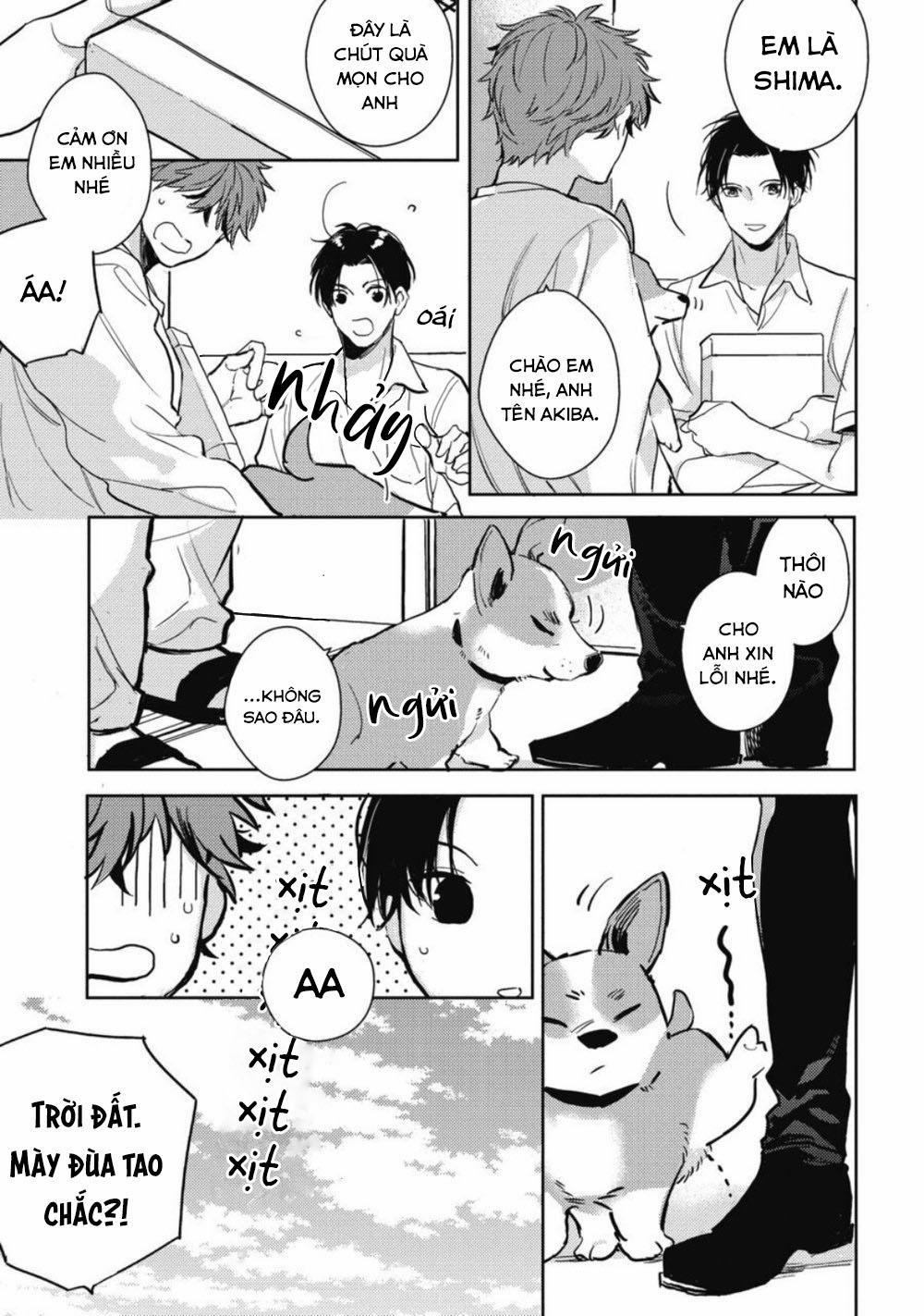 Chàng Trai Mật Ngọt Cạnh Nhà 1 trang 6