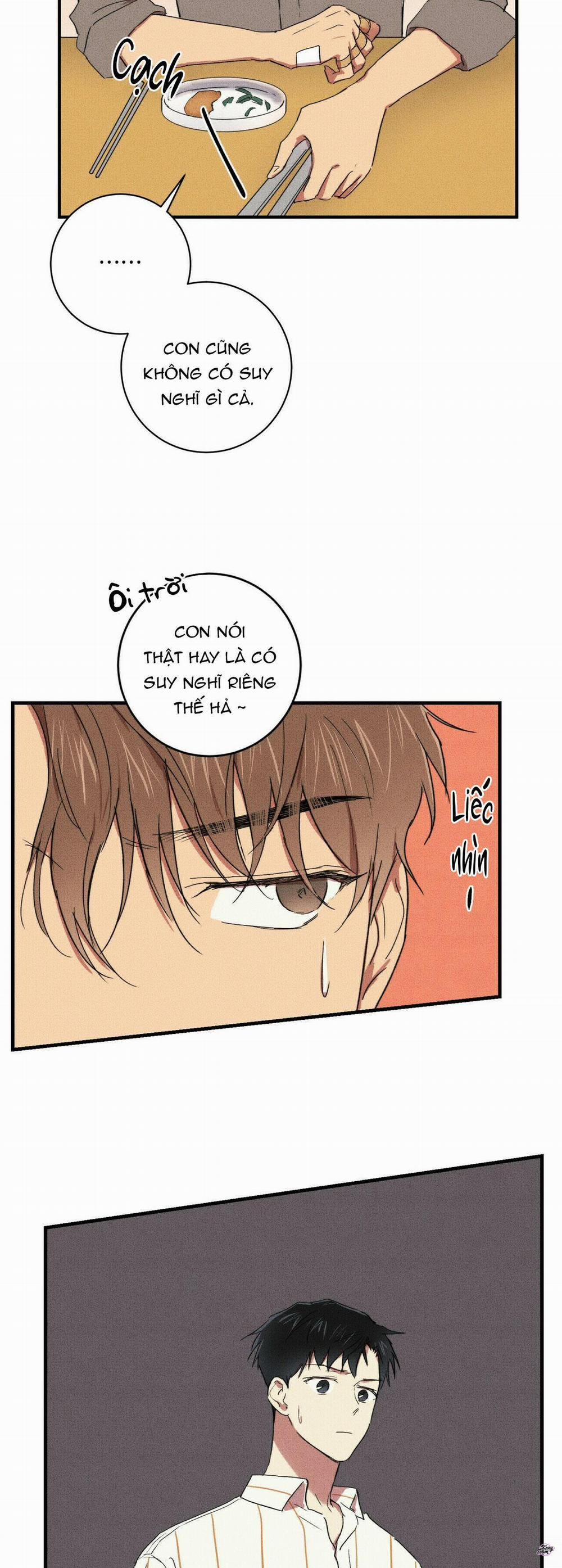 Chàng Trai Văn Học 10 trang 19