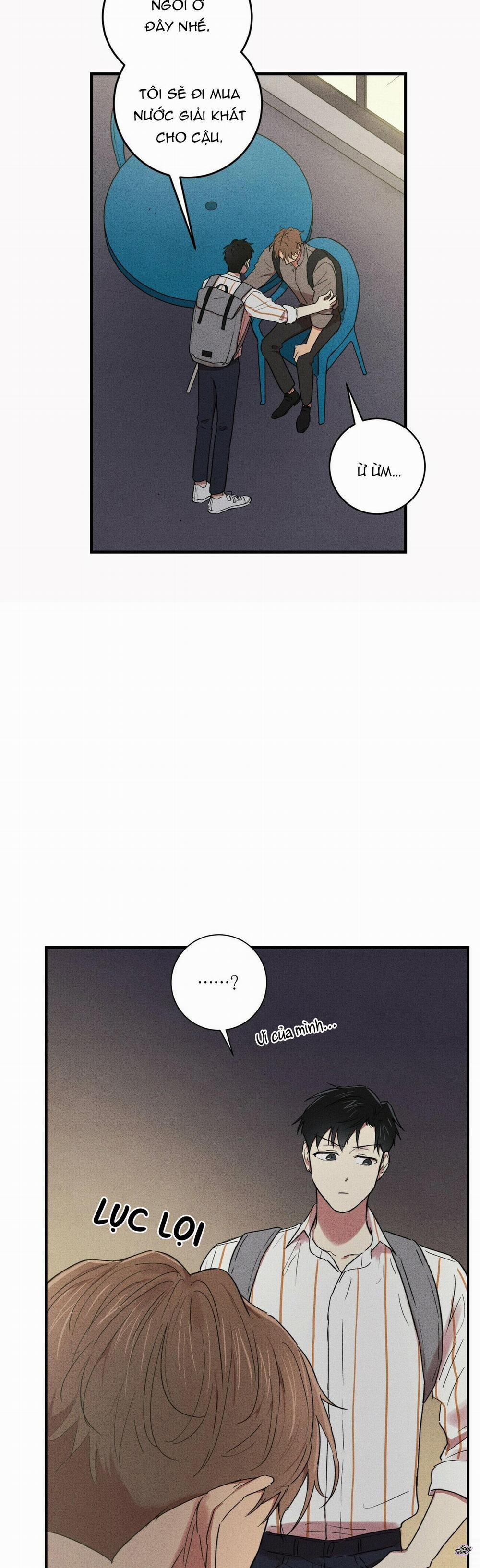 Chàng Trai Văn Học 11 trang 14