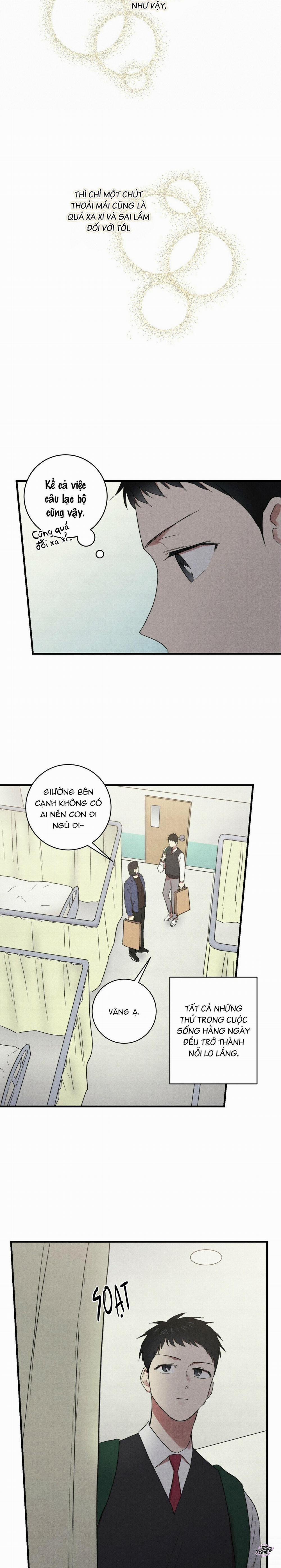 Chàng Trai Văn Học 12 trang 19