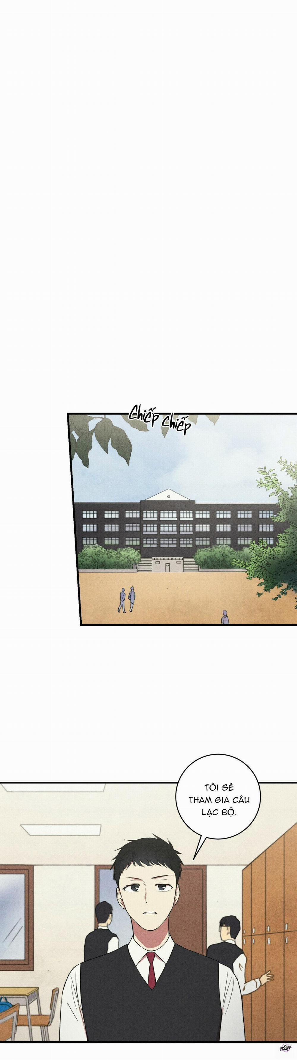 Chàng Trai Văn Học 13 trang 11