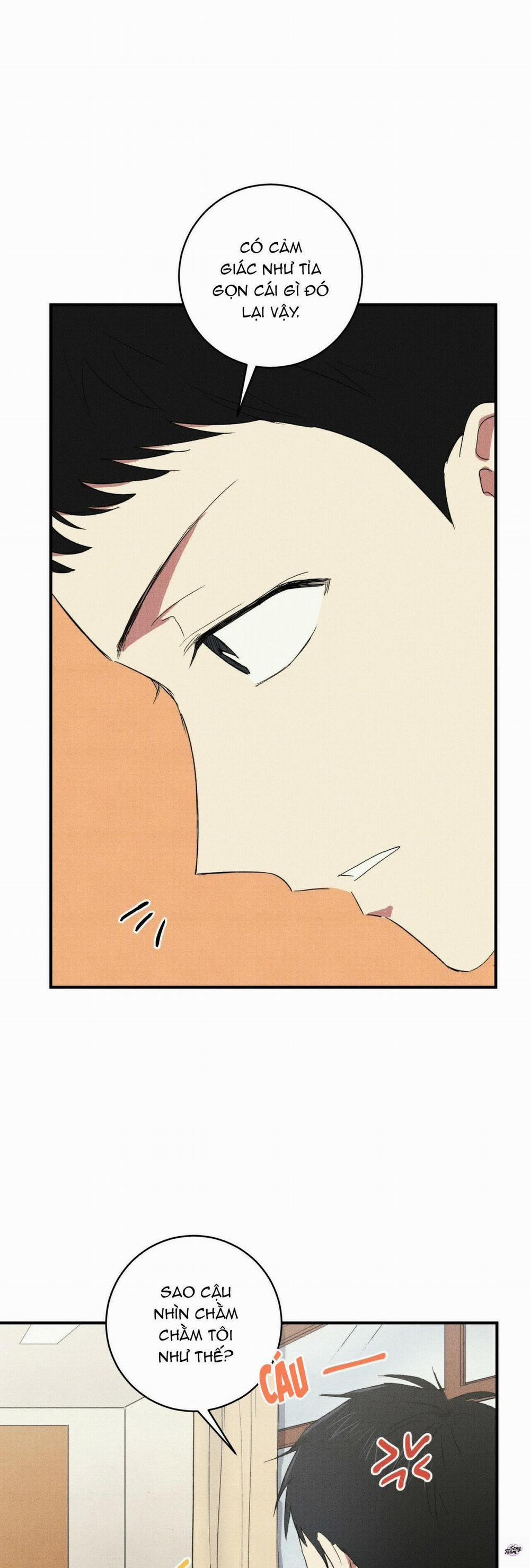 Chàng Trai Văn Học 13 trang 16