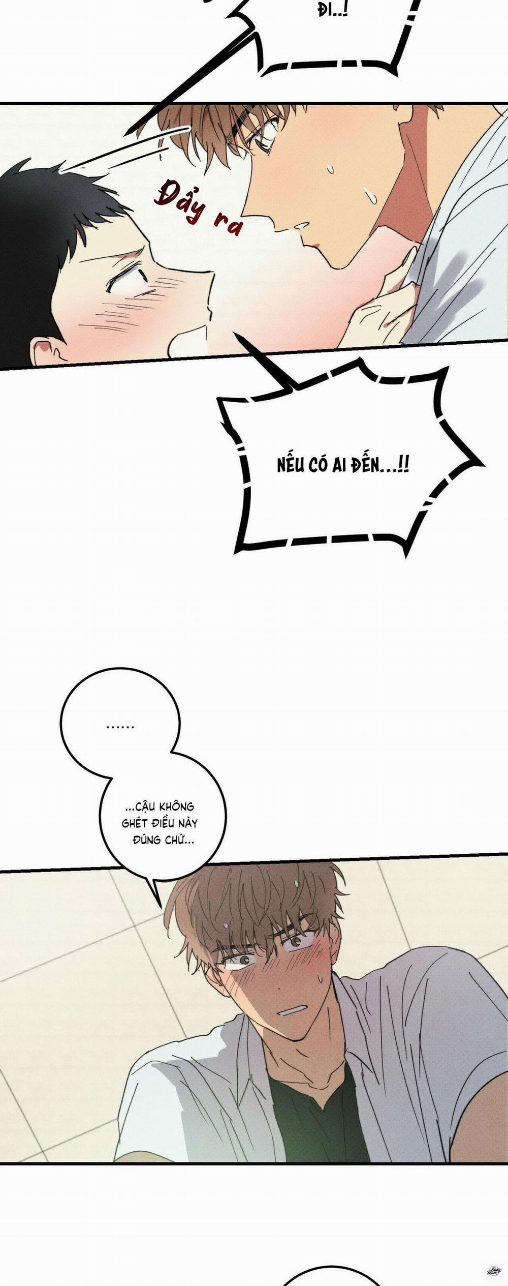 Chàng Trai Văn Học 37 trang 26