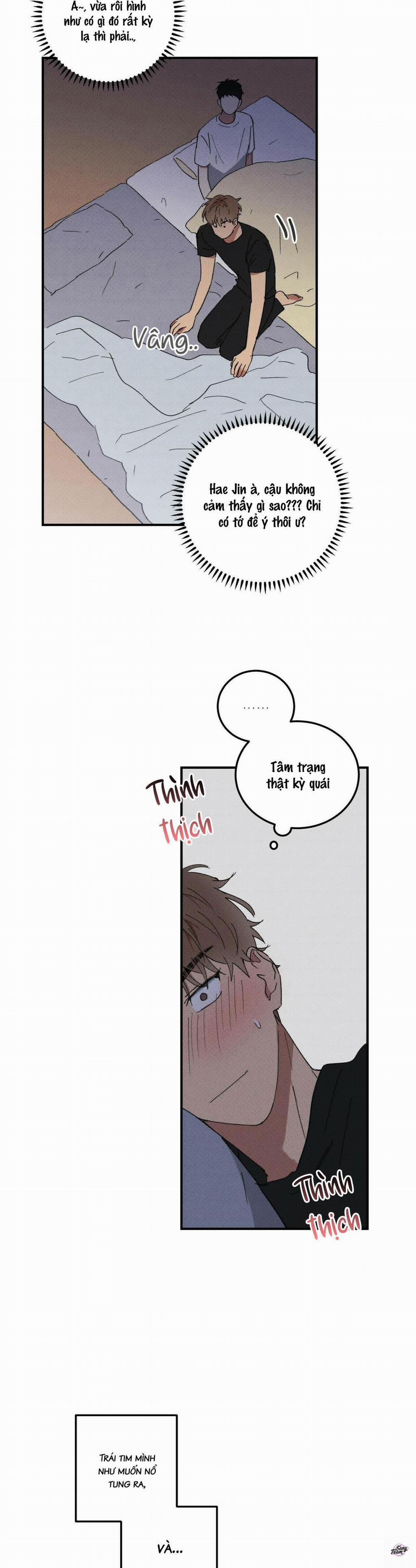 Chàng Trai Văn Học 37 trang 5