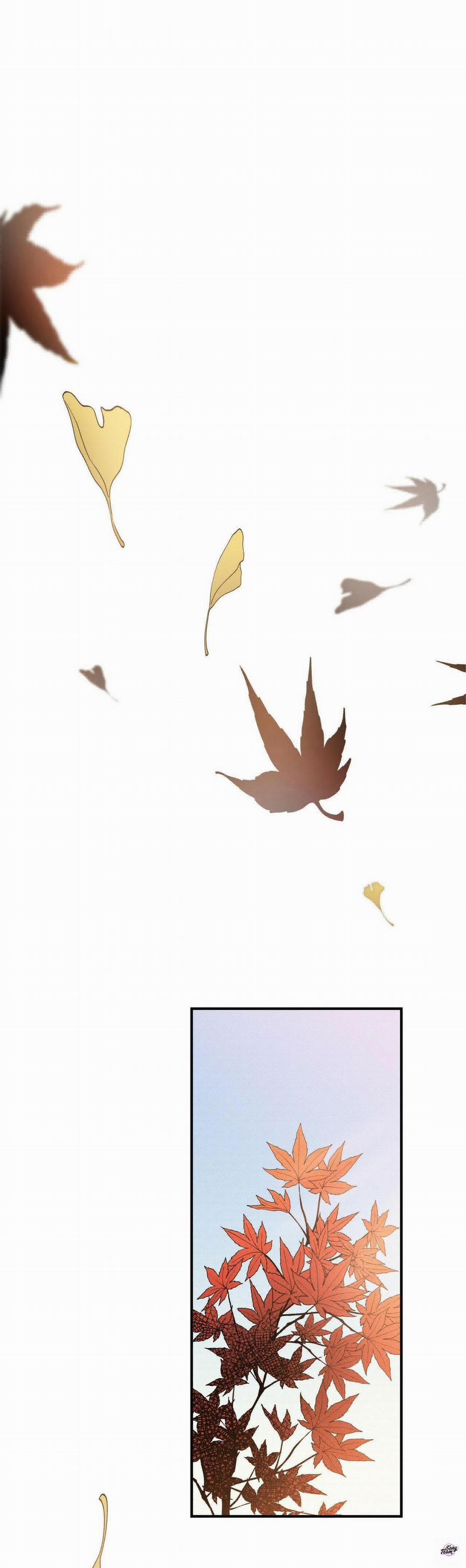 Chàng Trai Văn Học 50 trang 0