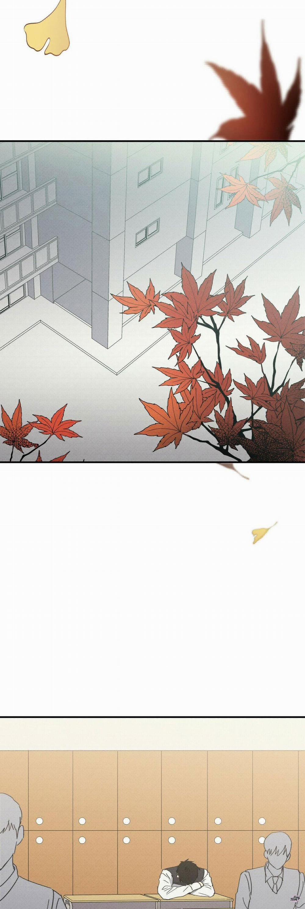 Chàng Trai Văn Học 50 trang 1