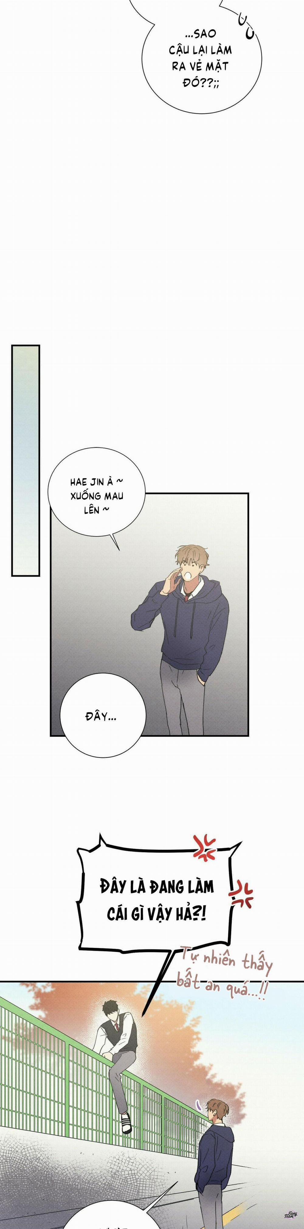 Chàng Trai Văn Học 50 trang 18