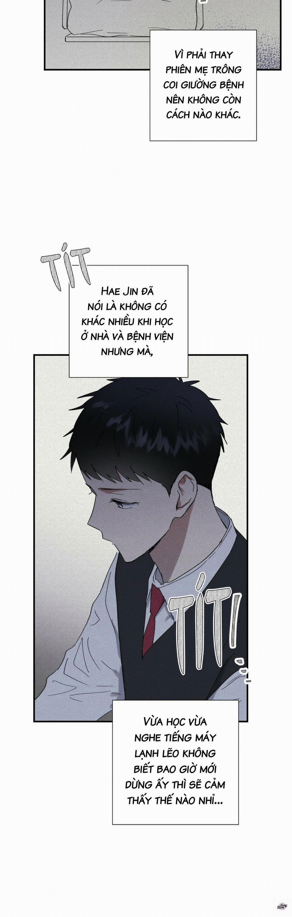 Chàng Trai Văn Học 50 trang 8