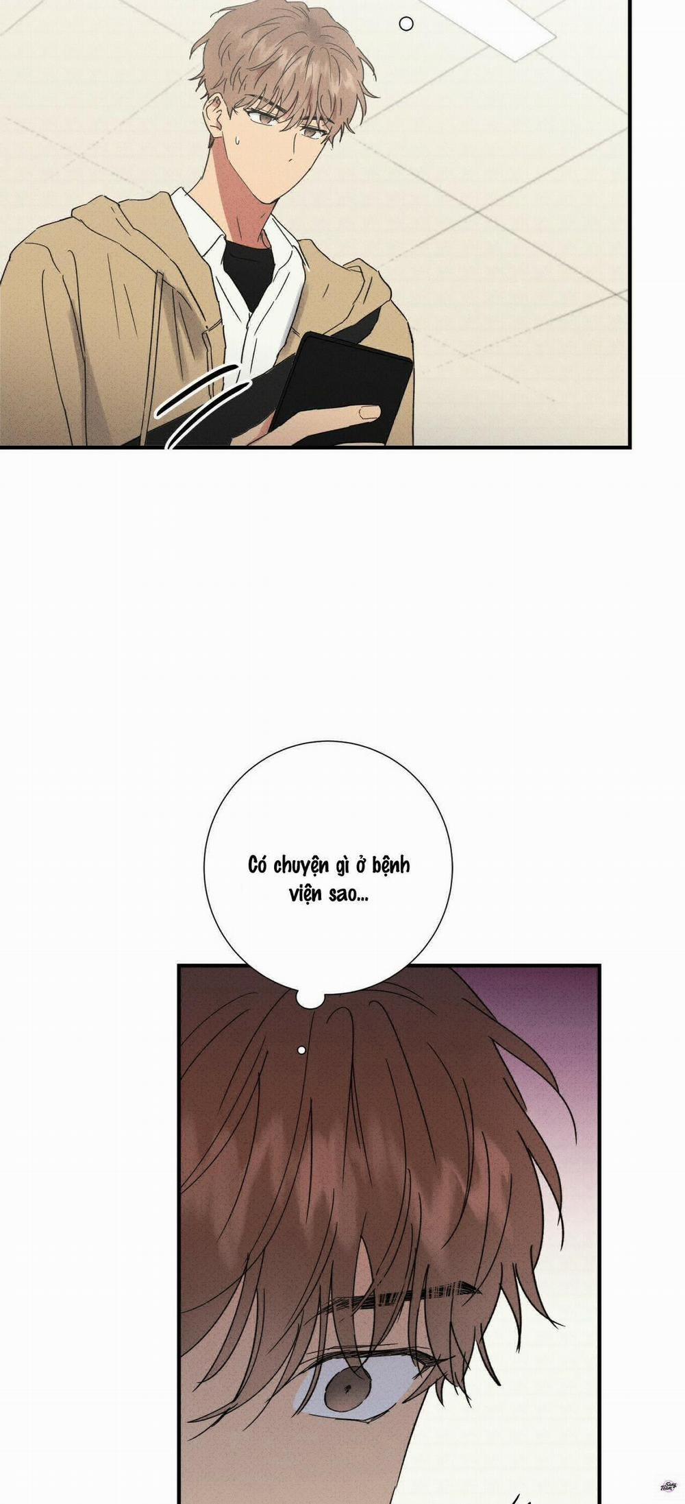 Chàng Trai Văn Học 52 trang 11