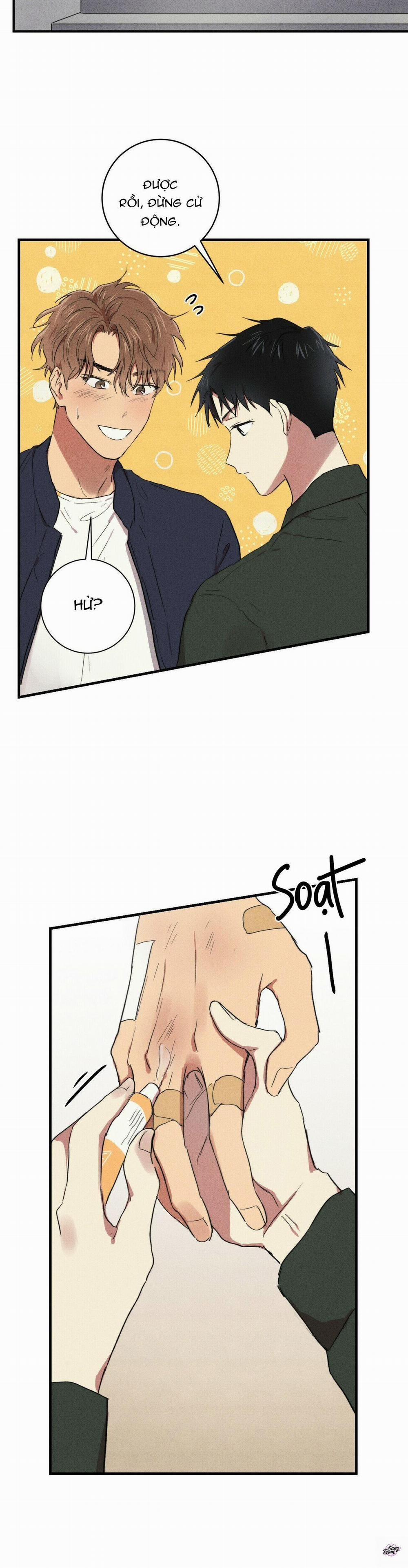 Chàng Trai Văn Học 9 trang 13