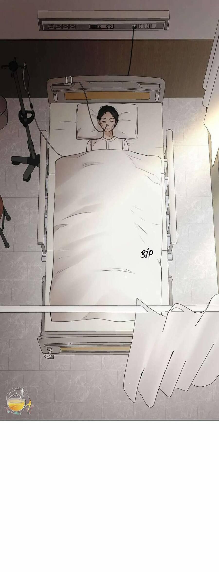 Chạng Vạng 32 trang 24