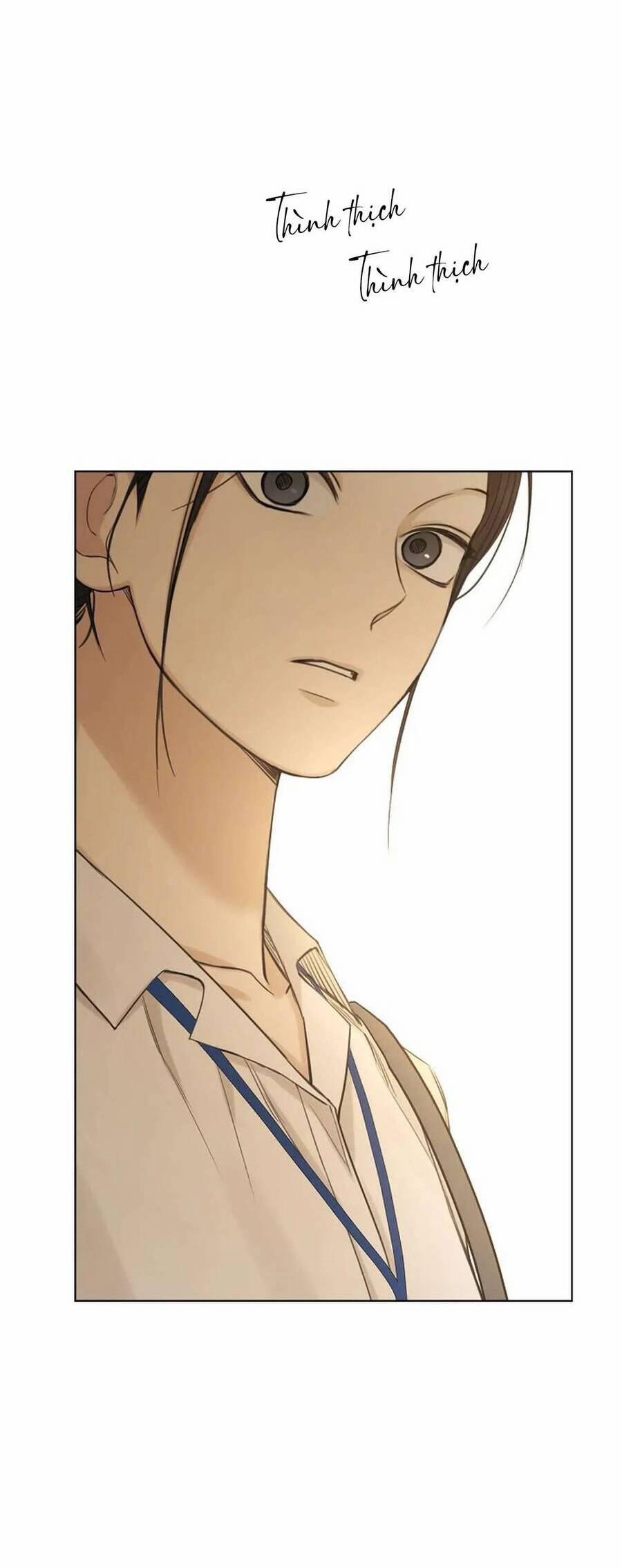 Chạng Vạng 32 trang 44