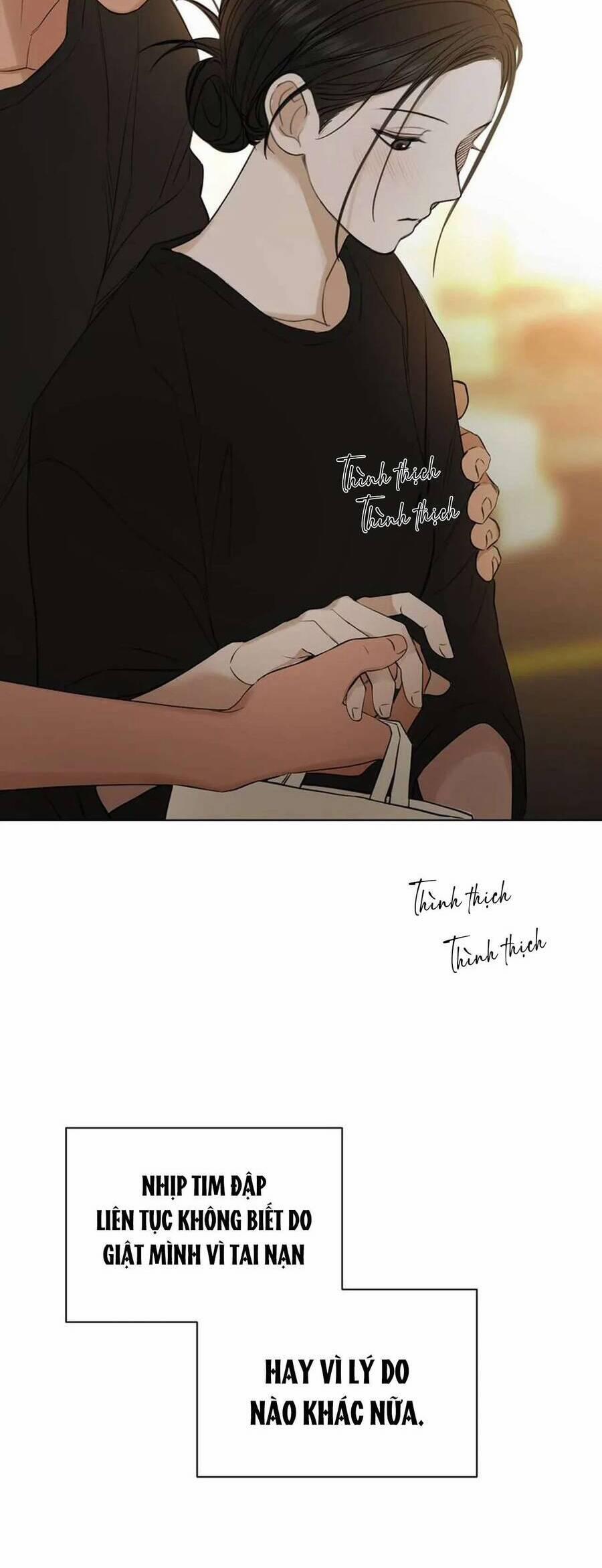 Chạng Vạng 35 trang 43