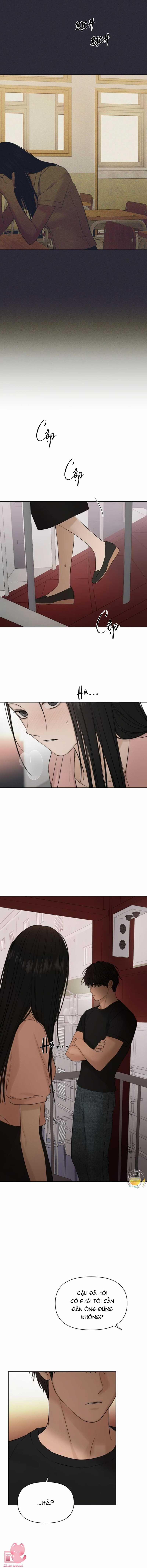 Chạng Vạng 38 trang 17