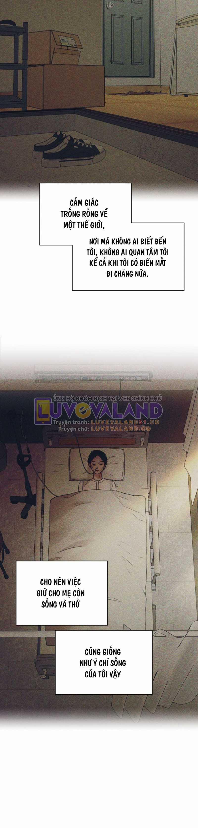 Chạng Vạng 40 trang 18