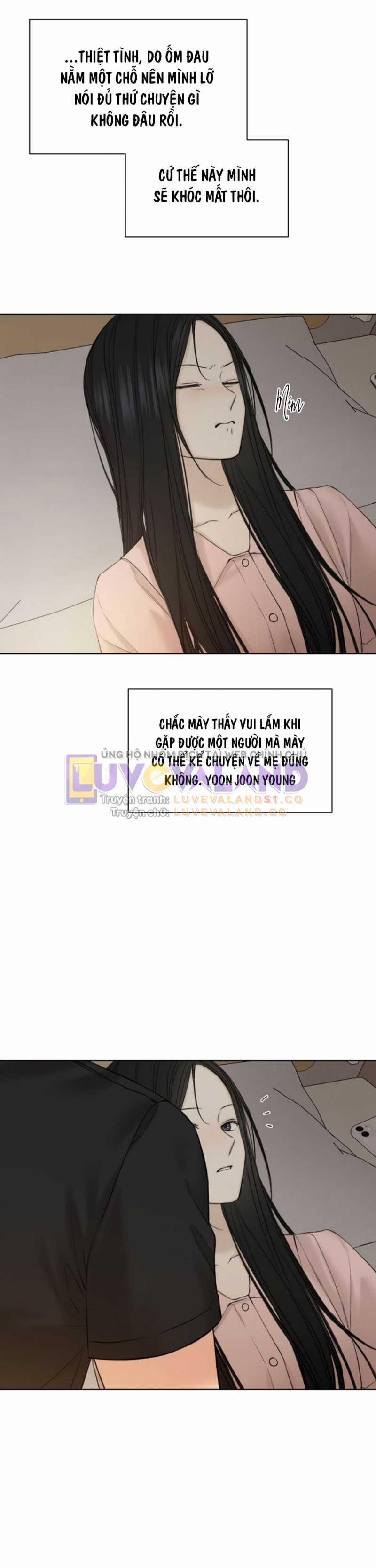 Chạng Vạng 40 trang 19