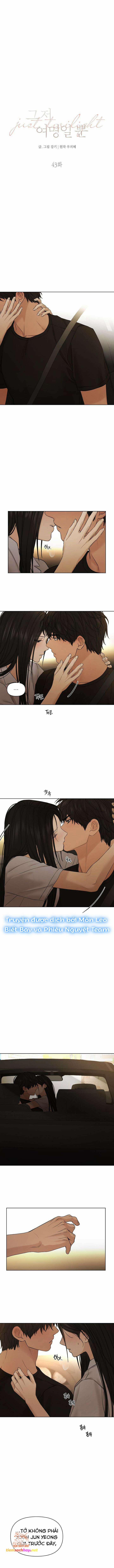 Chạng Vạng 43 trang 1