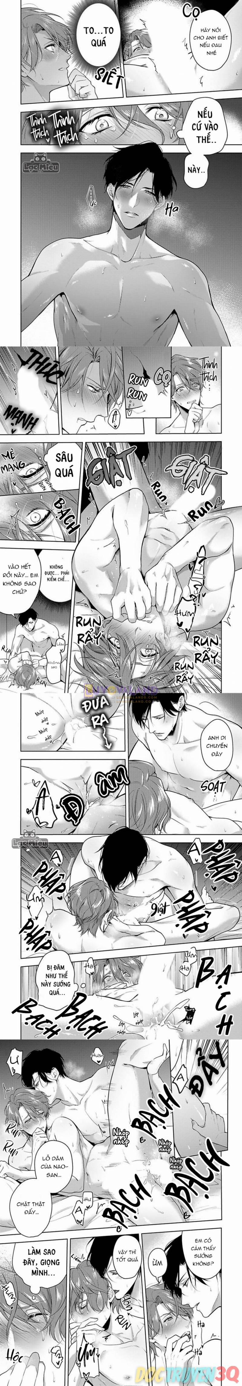 Chàng Vũ Công Quyến Rũ Của Tôi 1 trang 4