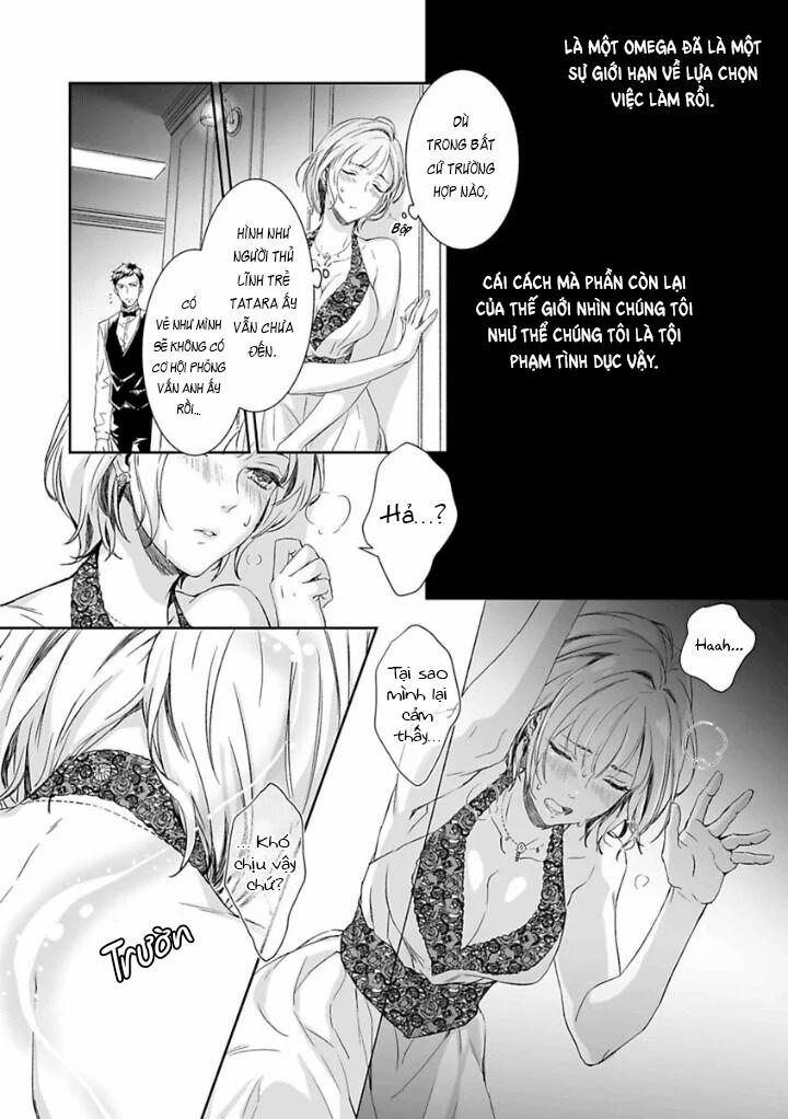 Chàng Yakuza Và Nàng Omega 1 trang 15