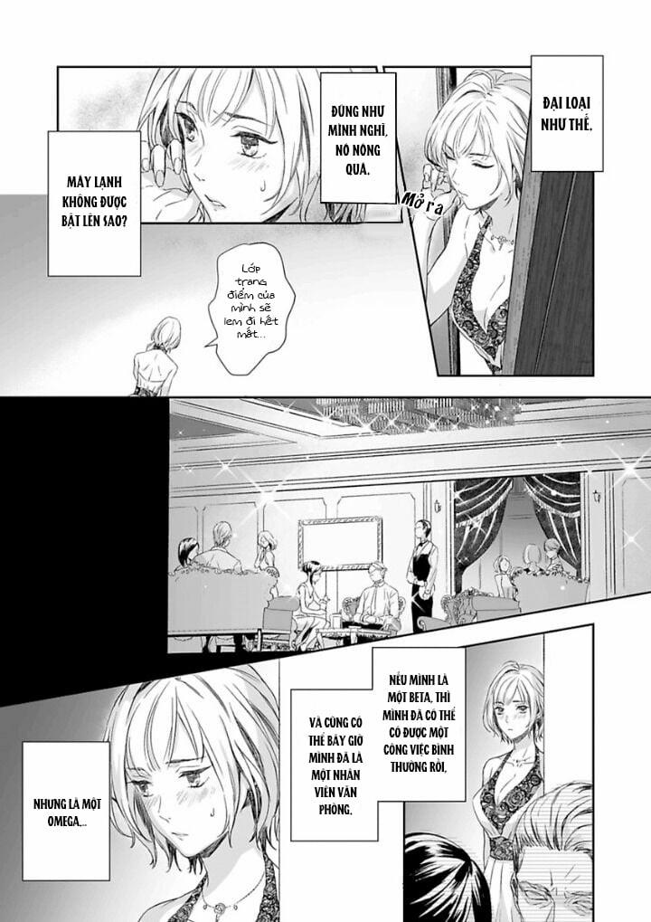 Chàng Yakuza Và Nàng Omega 1 trang 16