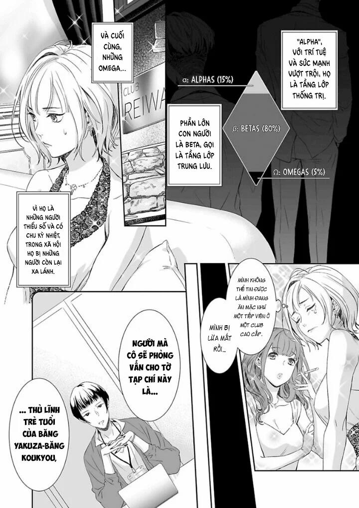 Chàng Yakuza Và Nàng Omega 1 trang 9