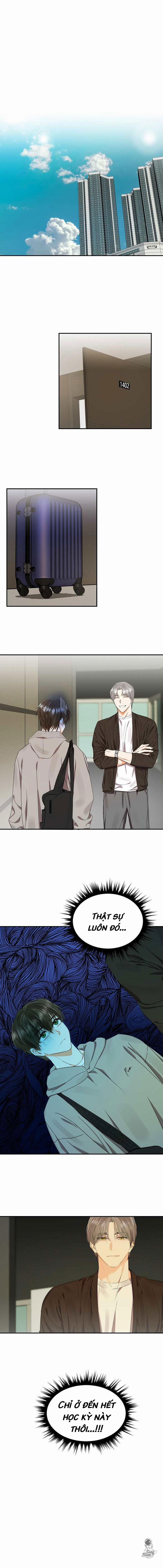 Chanh Đắng 11 trang 12