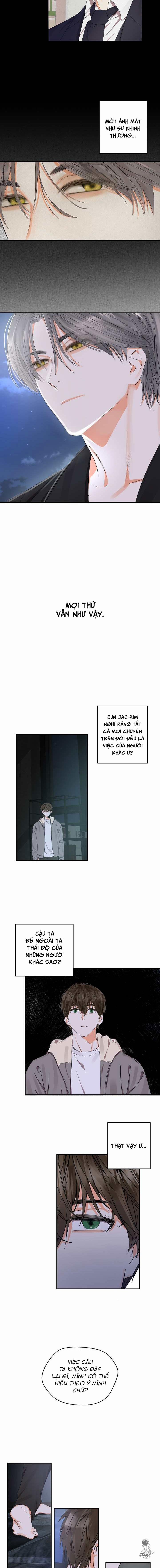 Chanh Đắng 15 trang 8