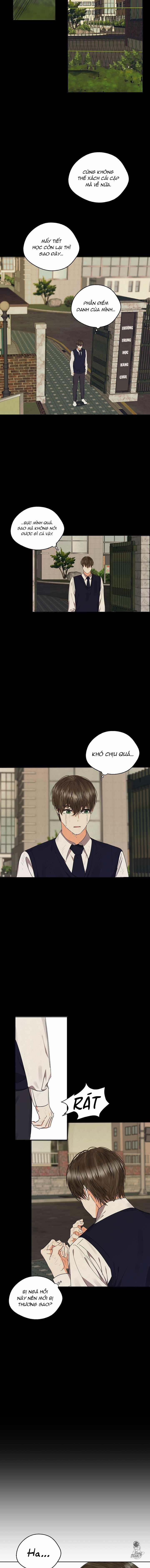 Chanh Đắng 21 trang 8