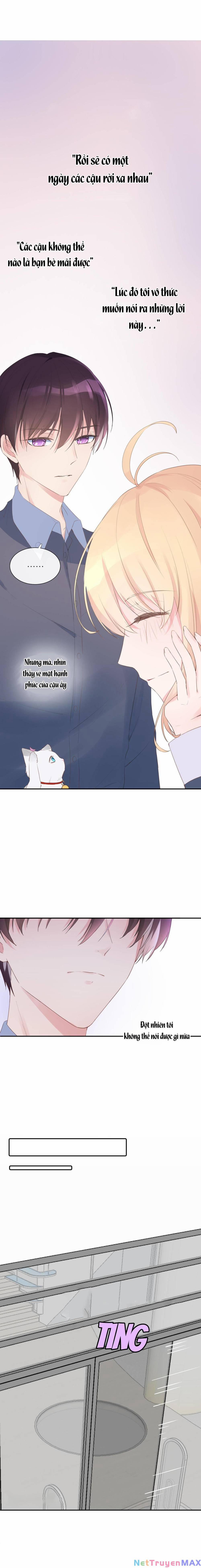 Chanh Vàng 10 trang 4