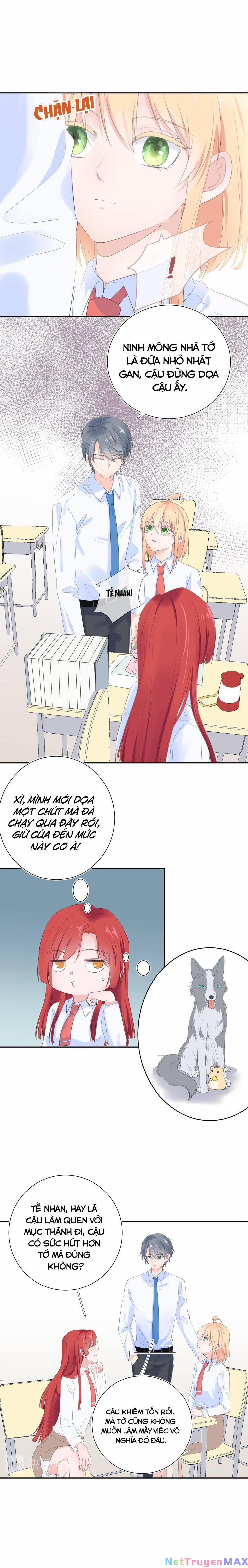 Chanh Vàng 3 trang 5