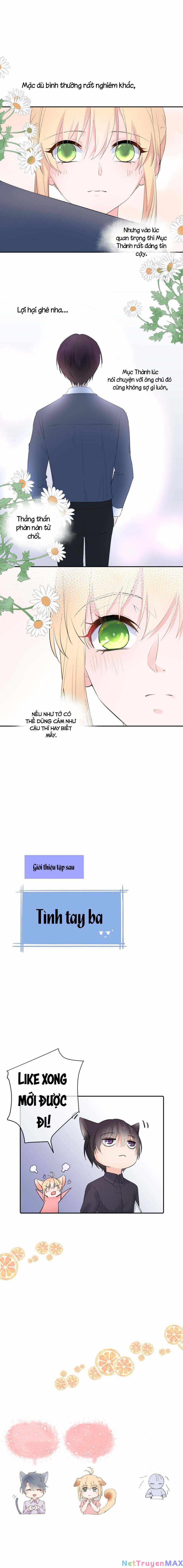 Chanh Vàng 9 trang 11