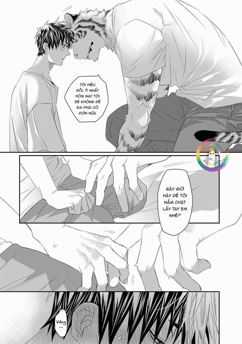 Chào Mừng Tới Văn Phòng Thám Tử Torano 7 H+ trang 11