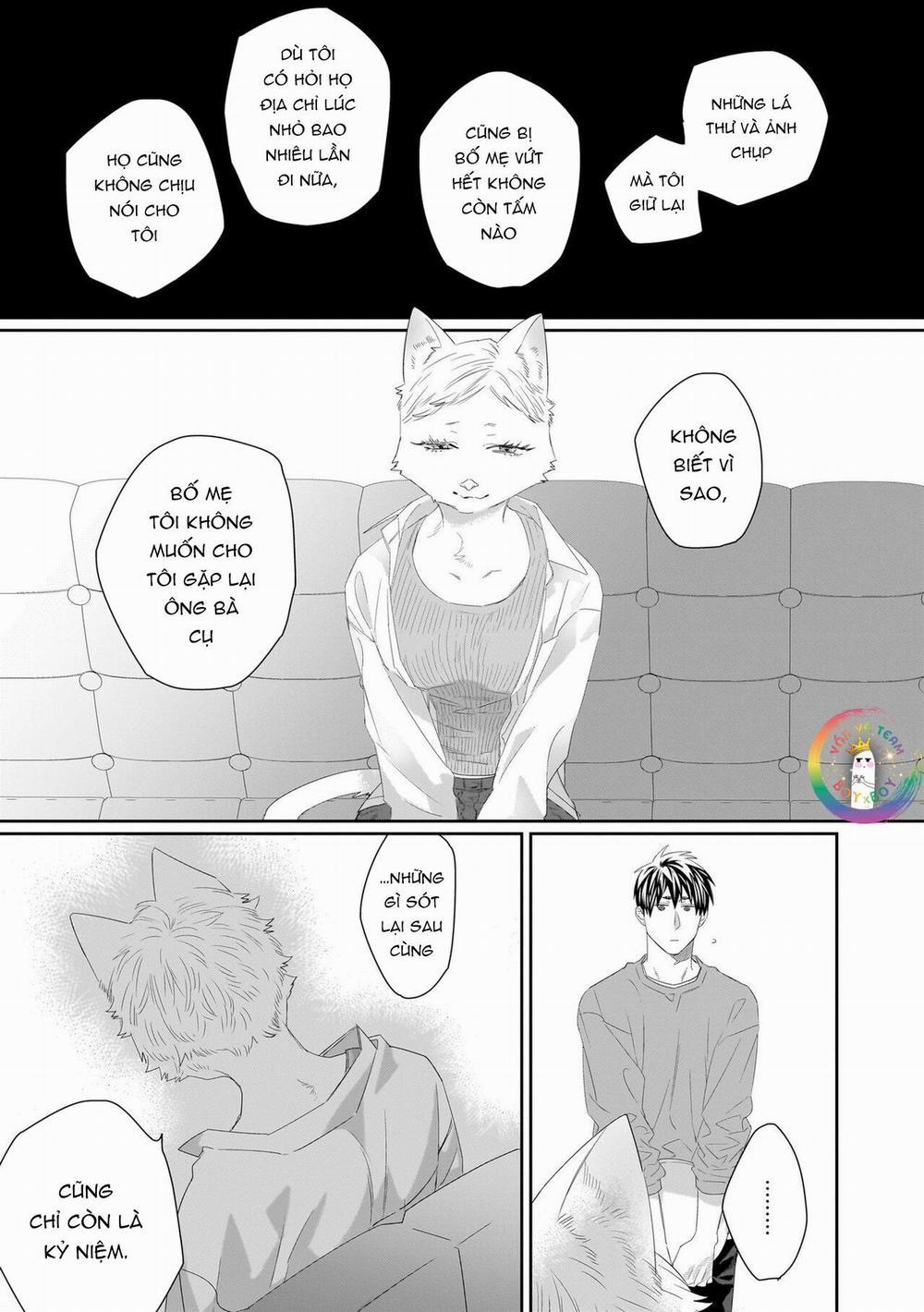 Chào Mừng Tới Văn Phòng Thám Tử Torano 7 trang 10