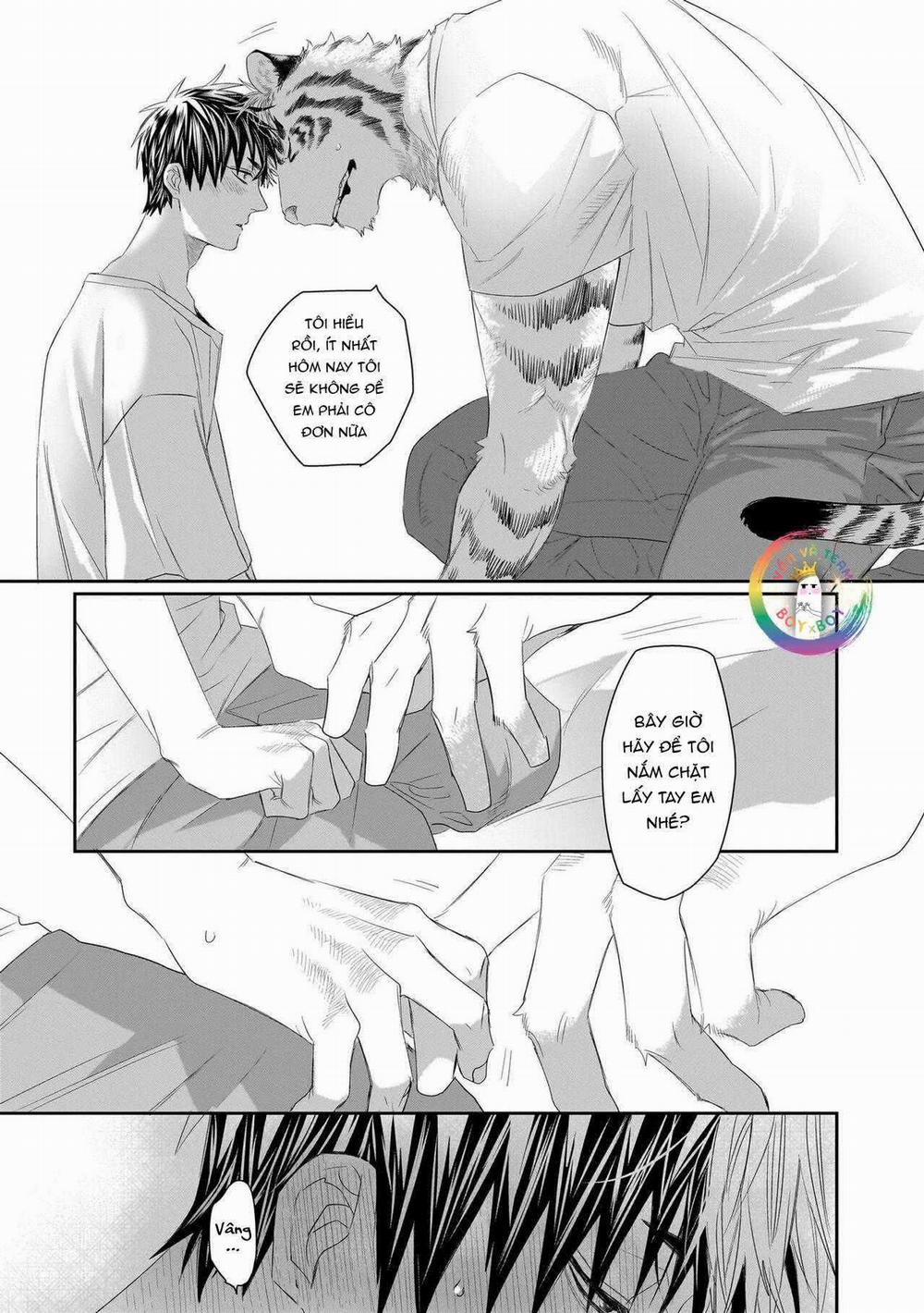 Chào Mừng Tới Văn Phòng Thám Tử Torano 9 trang 11