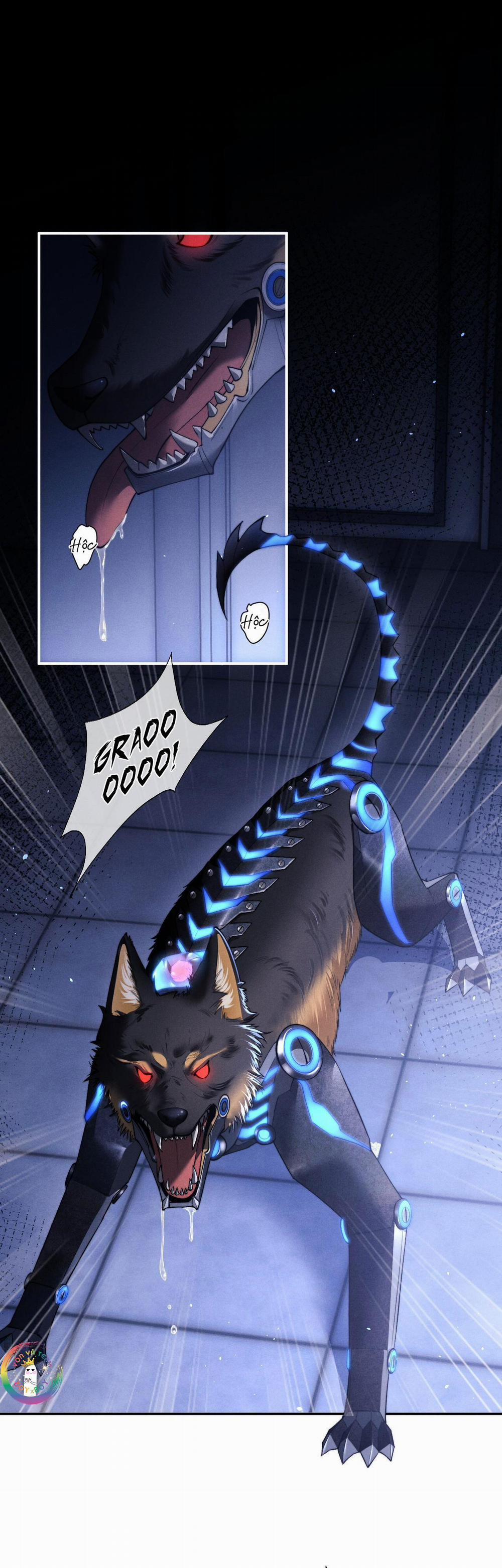 Chấp Sự Thỏ Tai Cụp 100 trang 1