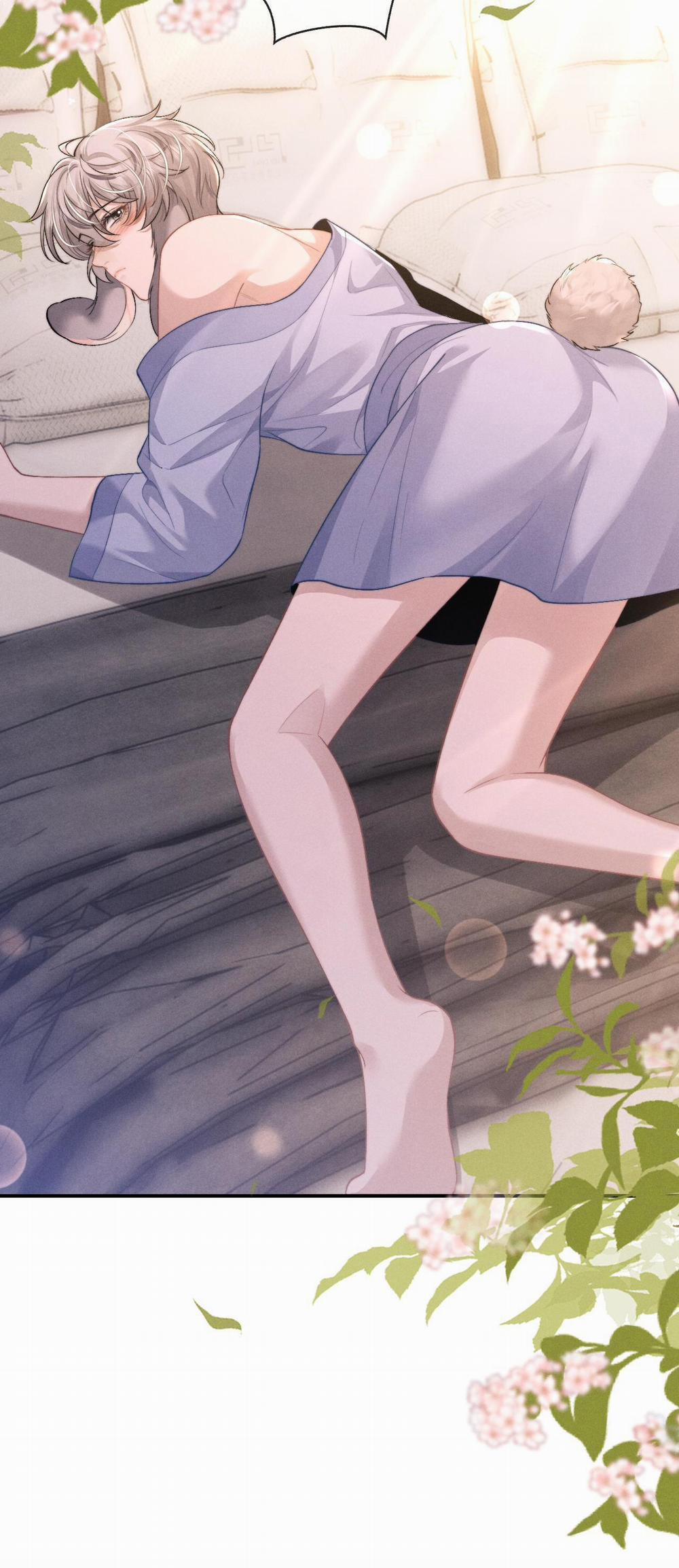 Chấp Sự Thỏ Tai Cụp 114 trang 12