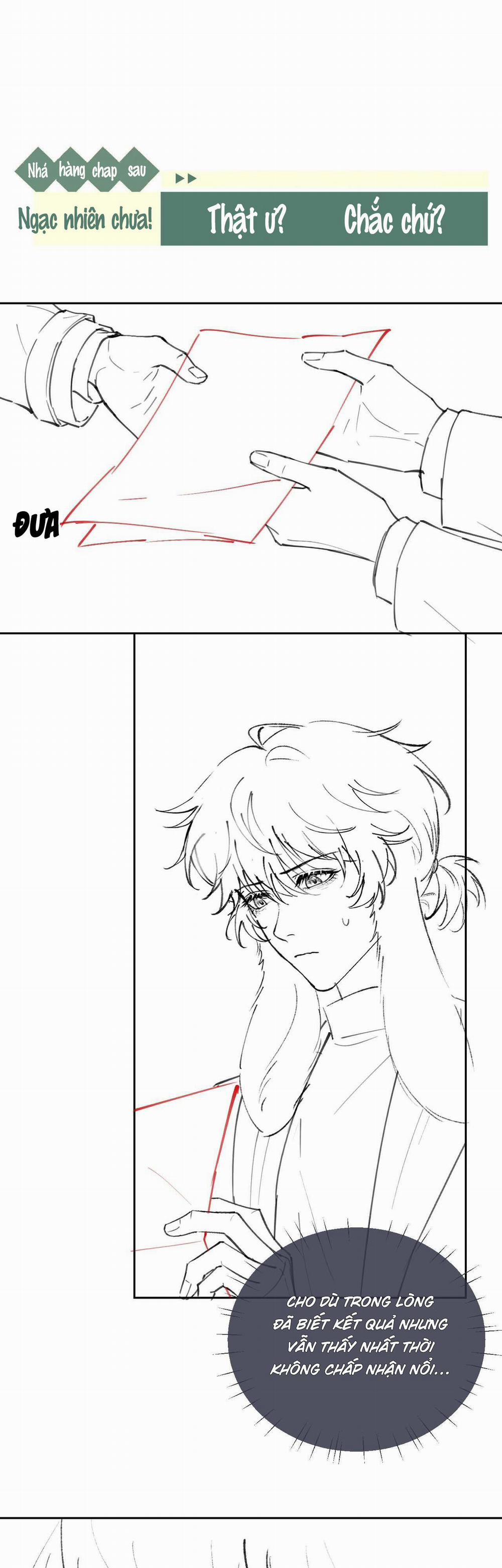 Chấp Sự Thỏ Tai Cụp 55 trang 16