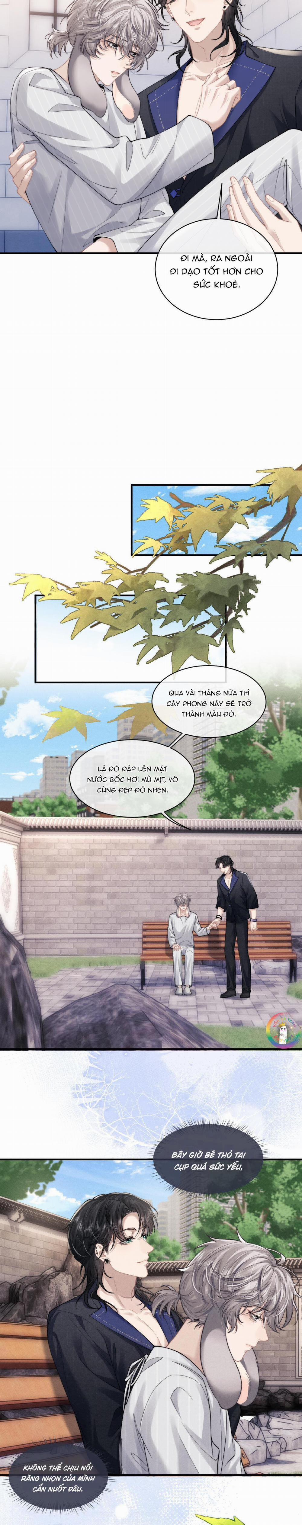 Chấp Sự Thỏ Tai Cụp 72 trang 6